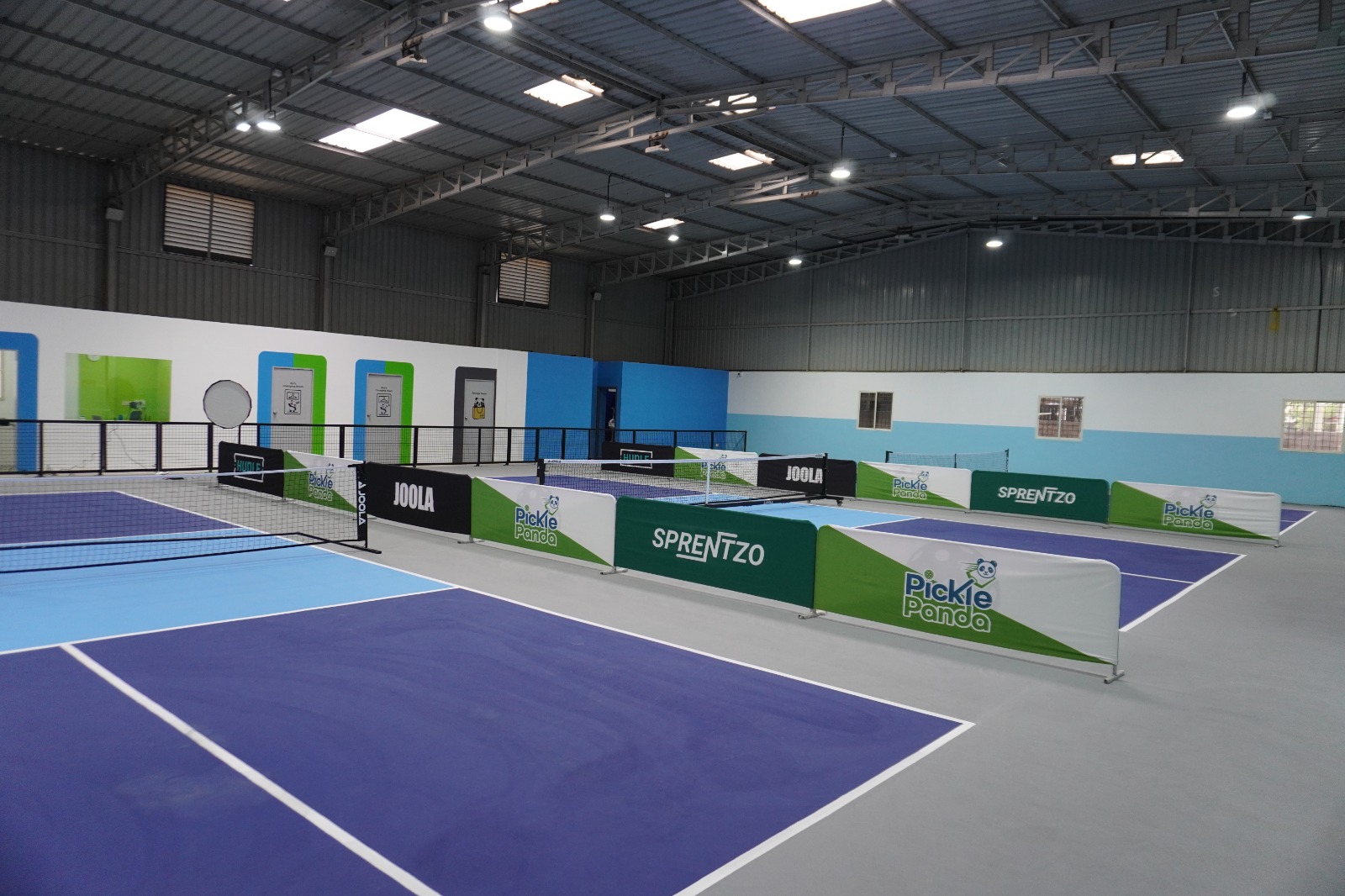 Panda Arena Surface